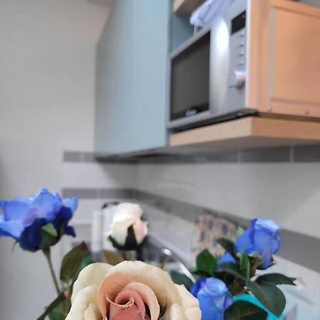 Apartmán Casa Fiori Blu - Figline Valdarno Exteriér fotografie