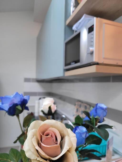 Apartmán Casa Fiori Blu - Figline Valdarno Exteriér fotografie