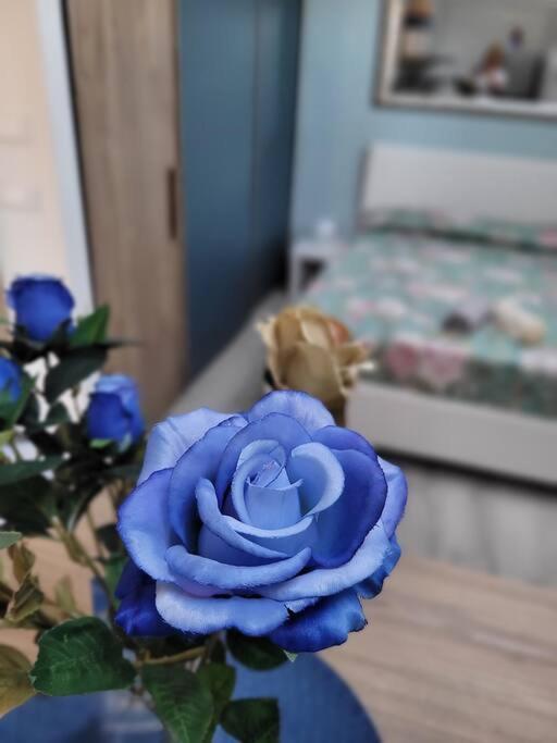 Apartmán Casa Fiori Blu - Figline Valdarno Exteriér fotografie